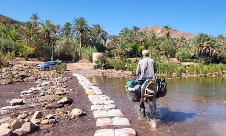 تقرير: الزلزال أضرّ بصناعات السياحة تقرير: الزلزال أضرّ بصناعات السياحة