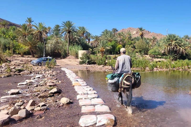 تقرير: الزلزال أضرّ بصناعات السياحة تقرير: الزلزال أضرّ بصناعات السياحة