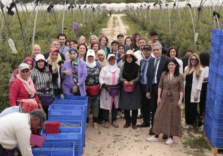 عاملات موسميات يطلقن مشاريع في المغرب بعد عودتهن من حقول إسبانيا