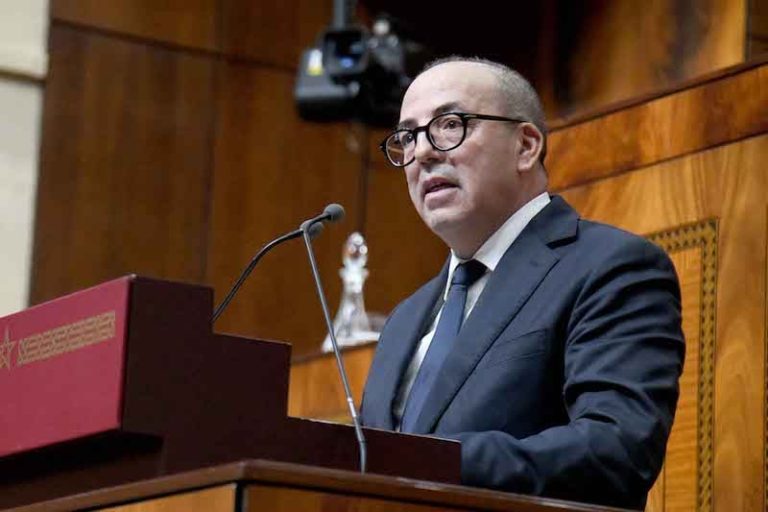 وزير الفلاحة: ارتفاع الطلب وراء غلاء اللحوم .. وأسعار الخضر "مستقرة