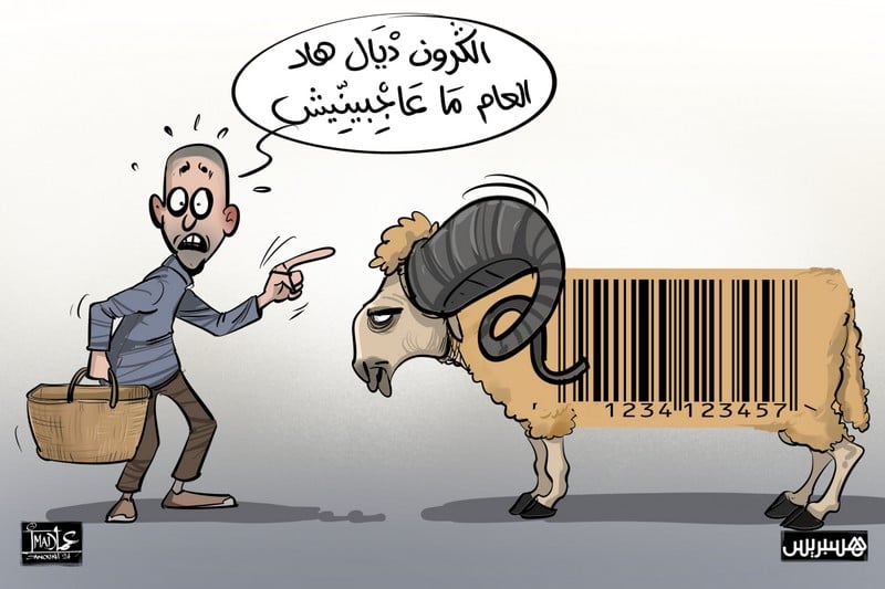 الملك يزيح العبء عن الأسر المغربية .. وأسعار الأكباش تنكمش بألف درهم‎