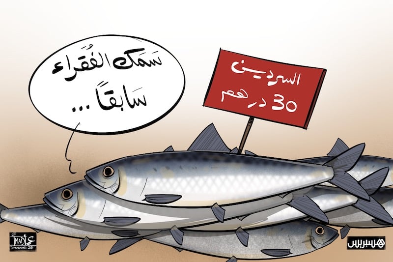 سعر السردين يحرج زكية الدريوش