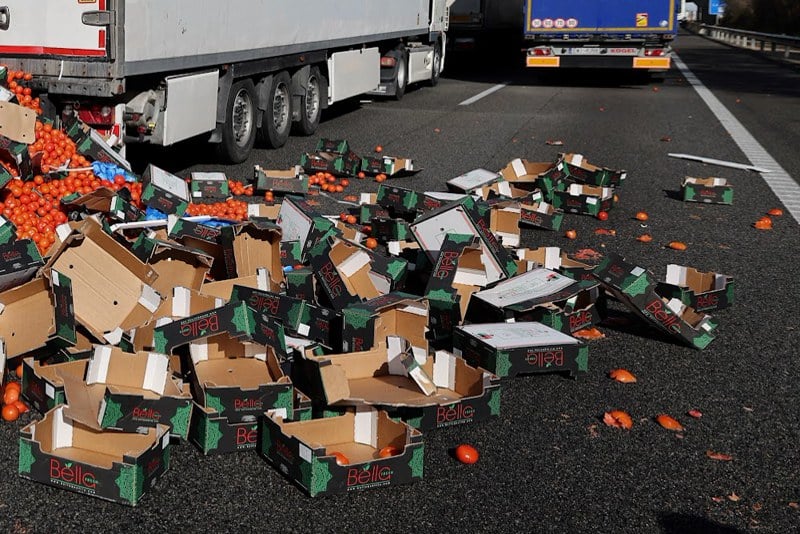 "كونفدرالية الفلاحة" تكذب حملات أوروبية مضللة ضد المنتوجات المغربية "كونفدرالية الفلاحة" تكذب حملات أوروبية مضللة ضد المنتوجات المغربية