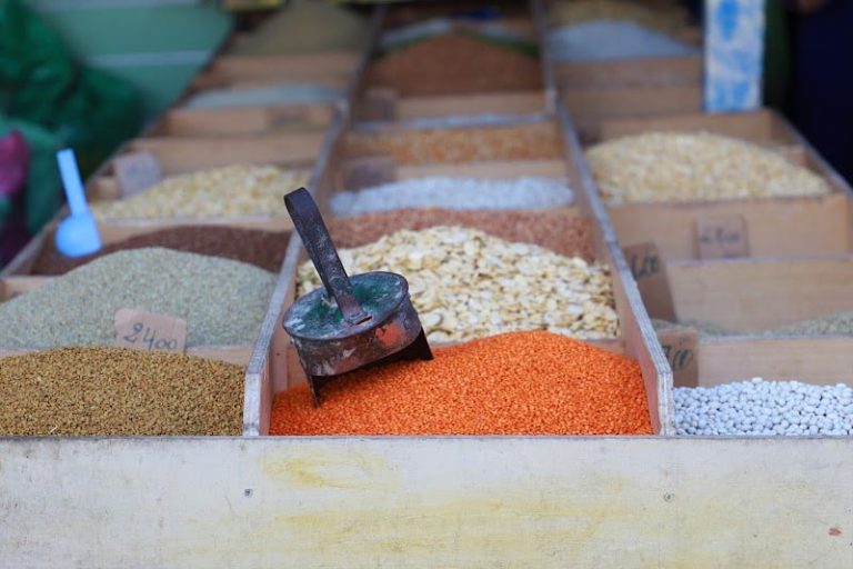 الإيطاليون يوفرون القطاني للجزائر