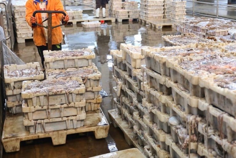 مليلية تستعد لاستيراد أسماك المغرب