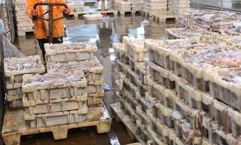 مليلية تستعد لاستيراد أسماك المغرب مليلية تستعد لاستيراد أسماك المغرب