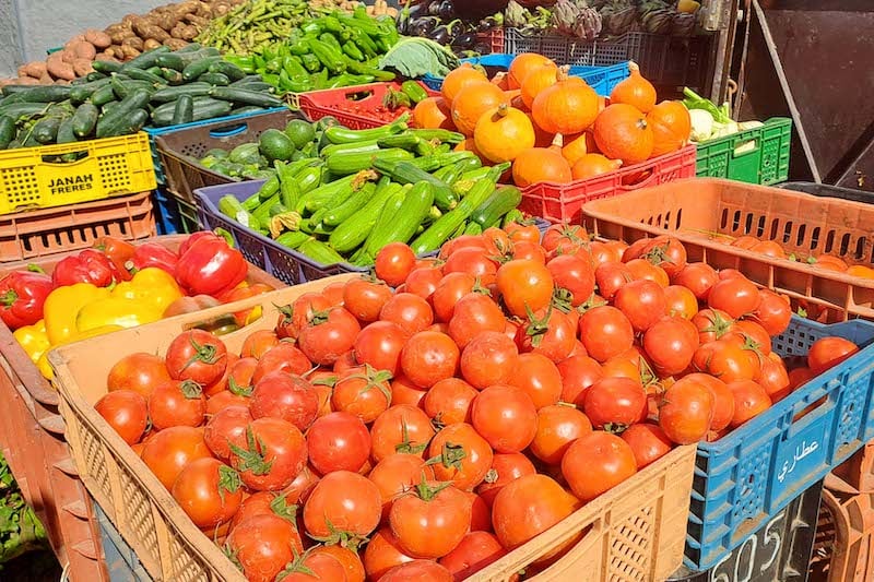 بعثة مغربية تزور جنوب شرق آسيا لتعزيز صادرات الفواكه والخضروات