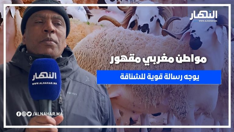 فرحان بقرار الملك… مواطن مغربي مقهور يوجه رسالة قوية للشناقة