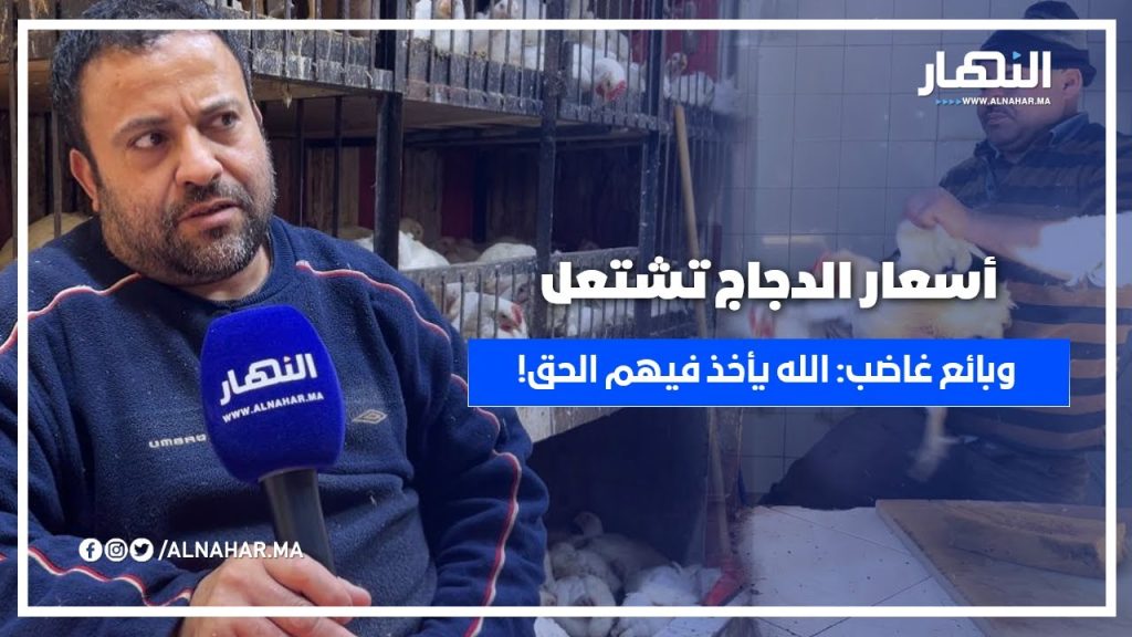 ارتفاع صاروخي في أسعار الدجاج.... وبائع غاضب يكشفُ الأسباب: "الله يأخذ فيهم الحق"