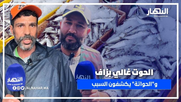 ارتفاع خيالي في أسعار السمك خلال شهر رمضان و "الحواتة" يكشفون السبب
