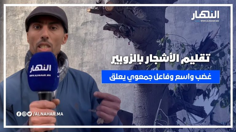 الأشجار في خطر.. تقليم مثير للجدل يثير استياء المجتمع المدني في الزوبير!