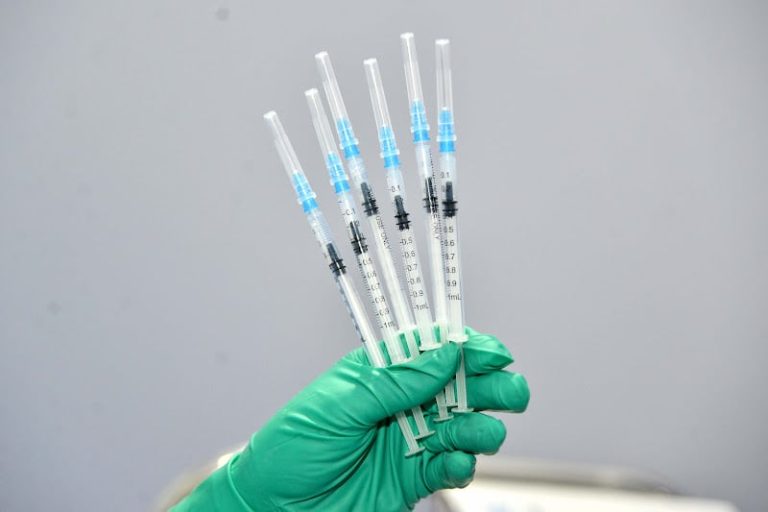 المغرب يجلب لقاحات بيطرية روسية