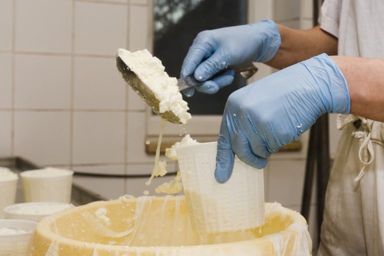 المغرب يستورد آلاف الأطنان من مشتقات الألبان الأوروبية في سنة 2024