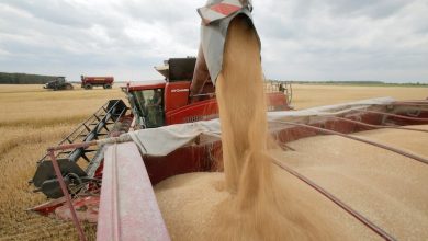 بعثة تجارية تراهن على تعزيز تدفق المنتجات الزراعية الأمريكية إلى المغرب