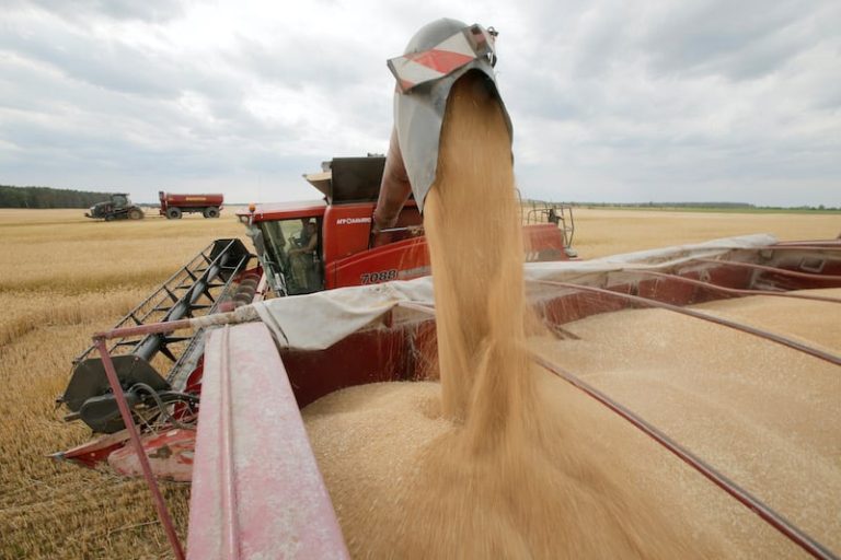 بعثة تجارية تراهن على تعزيز تدفق المنتجات الزراعية الأمريكية إلى المغرب
