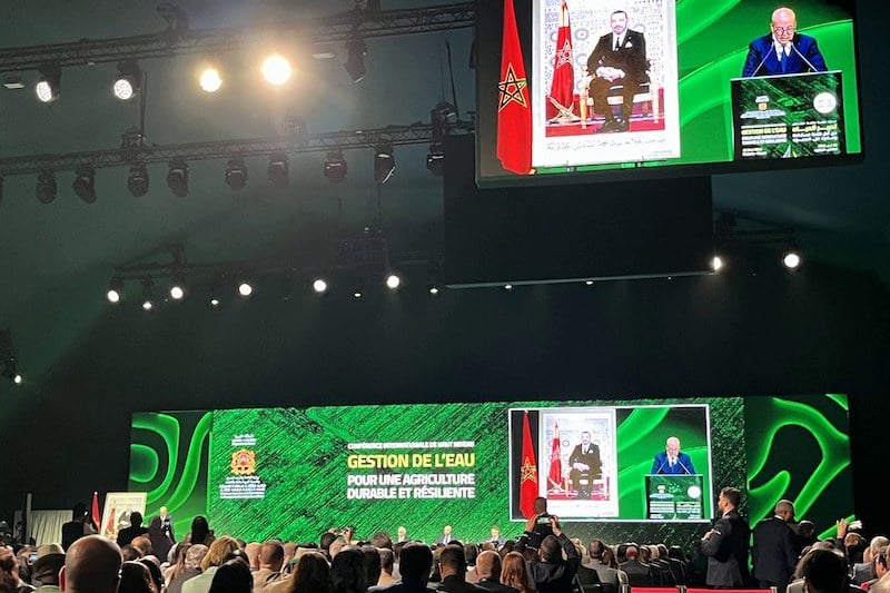 البواري: المغرب ينتظر ارتفاع محصول الحبوب بنسبة 41 في المائة