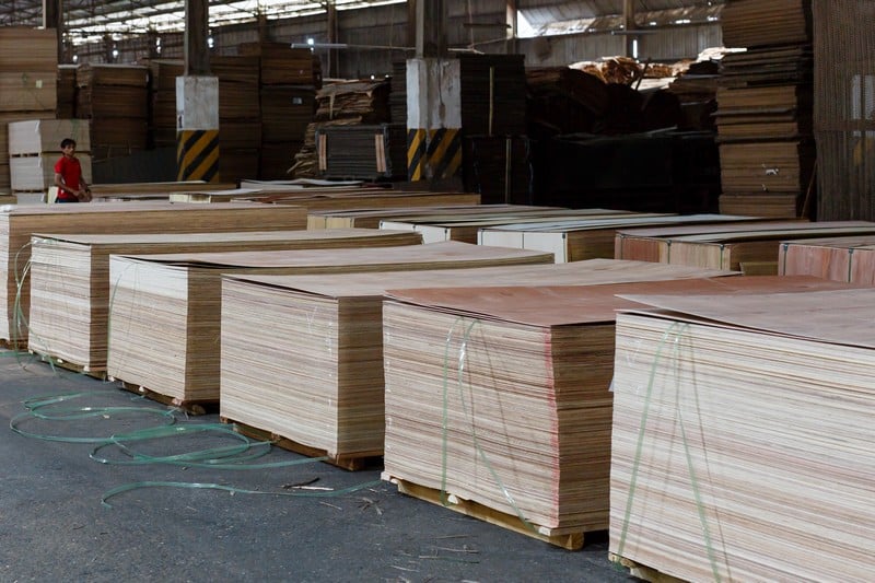 المغرب يرفع رسوم أخشاب مستوردة