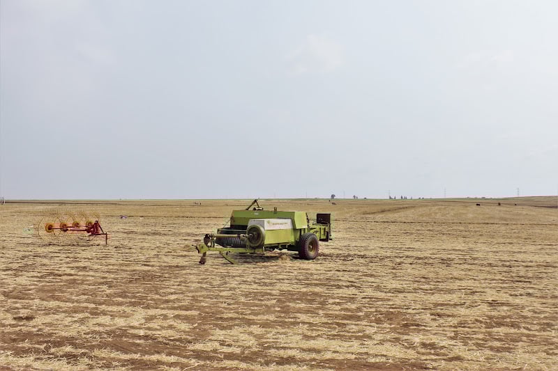 خبراء يؤكدون تربص التحديات المناخية بمنتجات فلاحية في المغرب