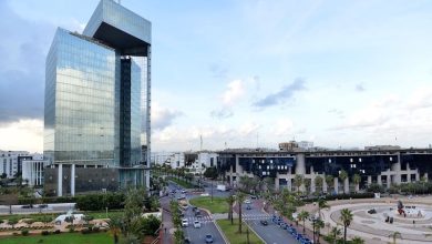شراكة بين