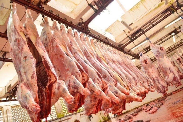 اعتماد الشهادات الصحية يؤهل اللحوم البرازيلية إلى ولوج الأسواق المغربية