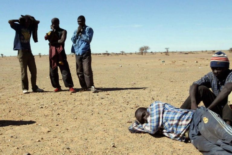 الجزائر ترحّل 5 آلاف مهاجر إلى النيجر
