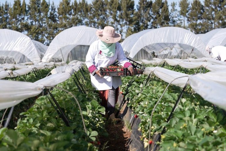 الدينامية التنموية تستفيد من