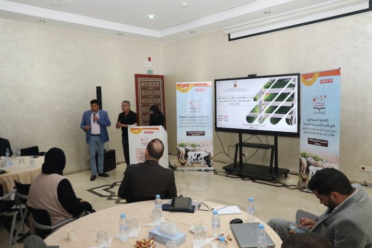 "المثمر" تجمع خبراء ومربين لتعزيز استدامة الإنتاج الحيواني في المغرب