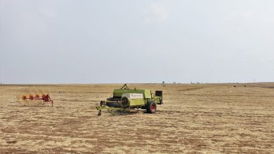 خبراء يؤكدون تربص التحديات المناخية بمنتجات فلاحية في المغرب