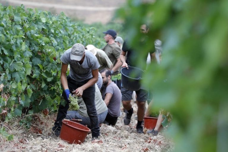 شركات فلاحية إسبانية تنتقي عمالا زراعيين موسميين من المغرب