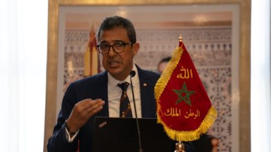 فاعلون: القنب الهندي أمل جديد للمرضى وفرصة اقتصادية للمزارعين
