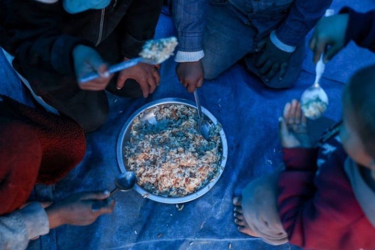 فلسطينيون في غزة يطهون السلاحف