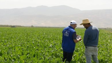 "كوسومار" تواجه التغيرات المناخية