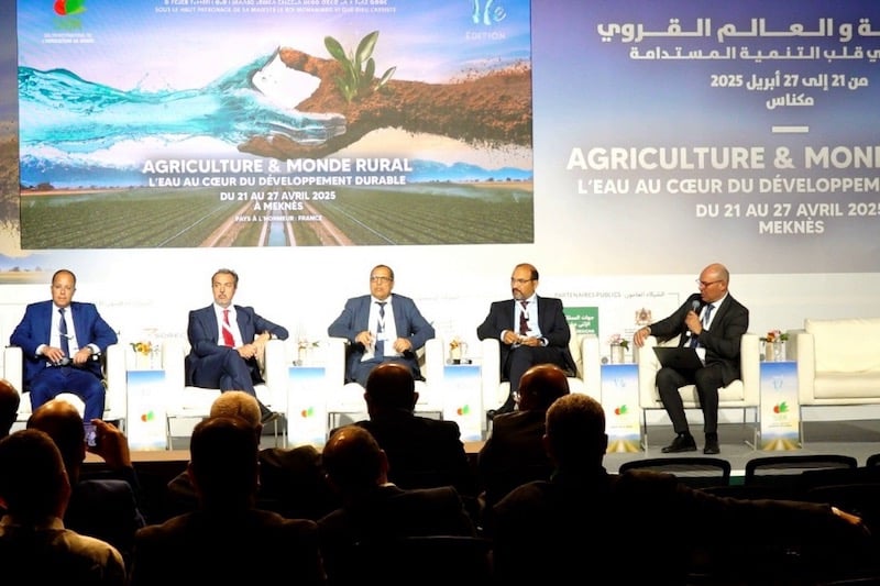 مسؤولون وباحثون يناقشون تأمين المخزون الاستراتيجي للحبوب والقطاني مسؤولون وباحثون يناقشون تأمين المخزون الاستراتيجي للحبوب والقطاني