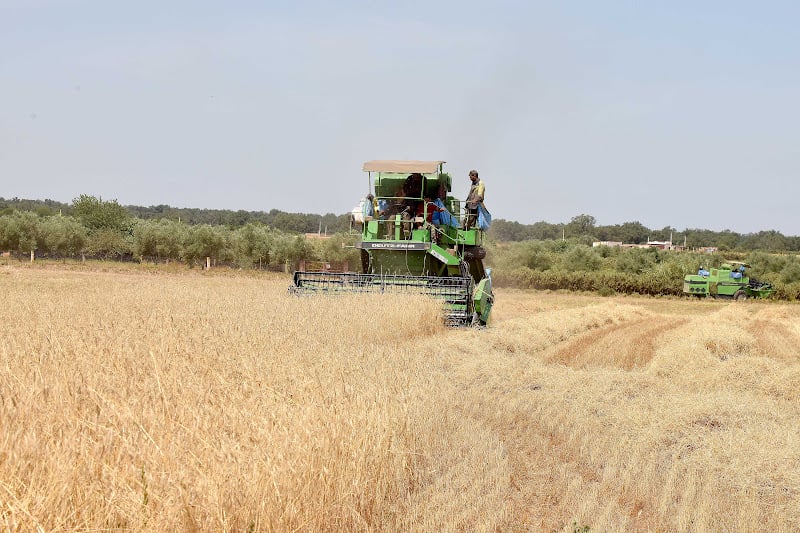 المغرب ينعش الفلاحة والصناعة .. والعجز يلازم ميزان التجارة الخارجية