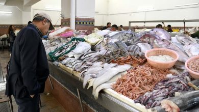 تدهور الصيد البحري ينعكس على أسعار السمك في أسواق المغرب