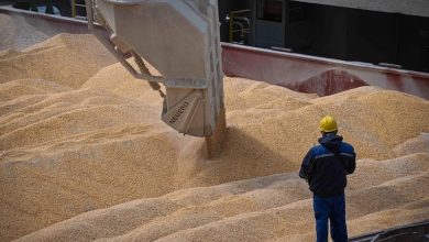 توقعات أمريكية بتراجع الواردات المغربية من القمح بـ200 ألف طن