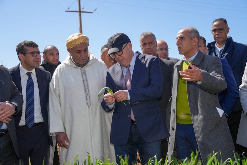 خبراء يدعون إلى صياغة تقديرات محصول الحبوب عبر الأقمار الصناعية