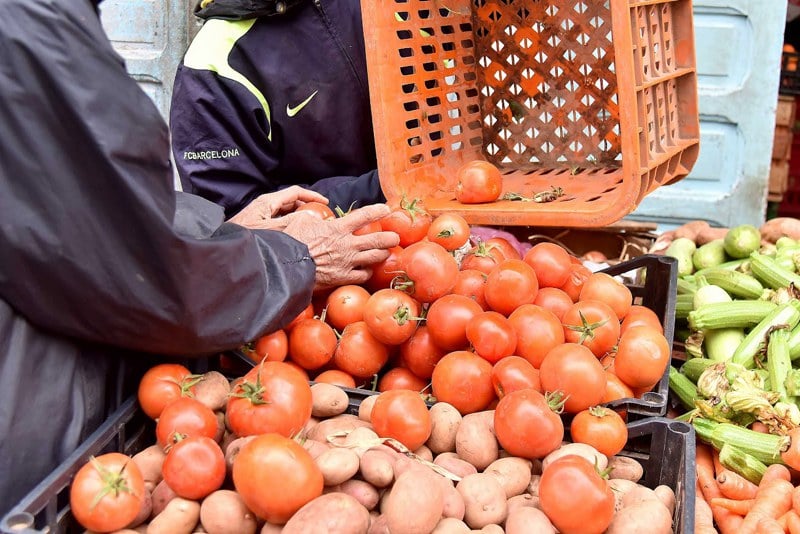 نهاية موسم الجني بسوس تلهب أسعار الطماطم في الأسواق المغربية