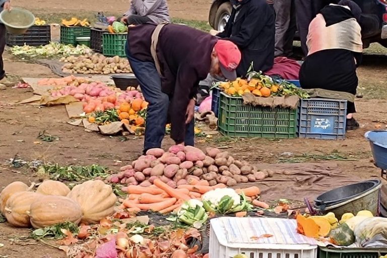 الأداء يتراجع في القطاع غير المنظم