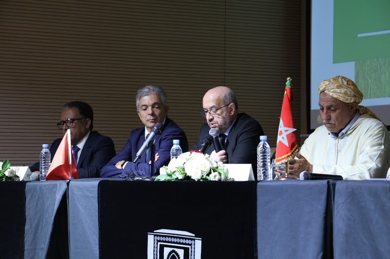 السميرس: الحوامض فَقَدَ 40 ألف هكتار.. والوسطاء يُضرّون بالمنتِج والمستهلك السميرس: الحوامض فَقَدَ 40 ألف هكتار.. والوسطاء يُضرّون بالمنتِج والمستهلك