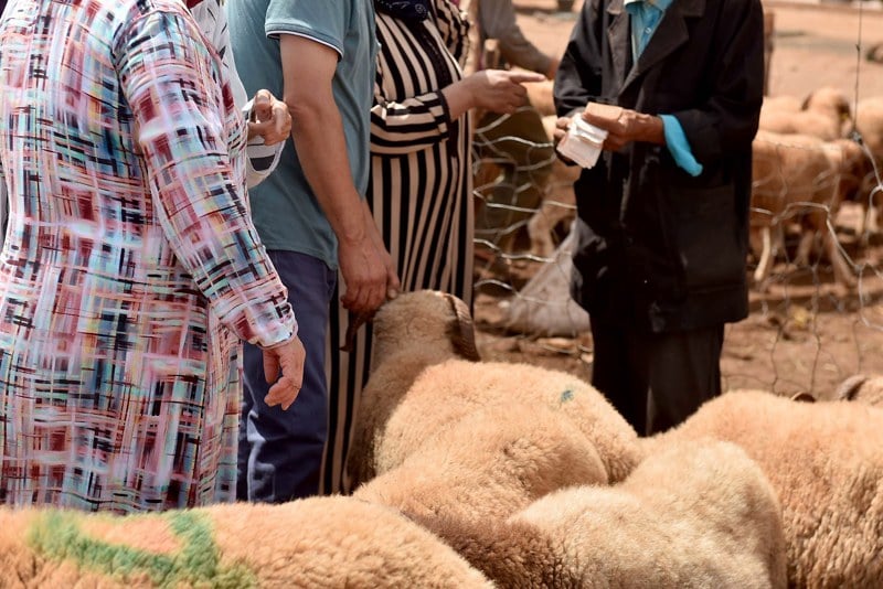 الفلاحون الصغار يطالبون بالدعم المالي المباشر لتعويض