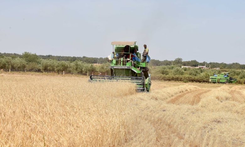 المغرب ينعش الفلاحة والصناعة .. والعجز يلازم ميزان التجارة الخارجية المغرب ينعش الفلاحة والصناعة .. والعجز يلازم ميزان التجارة الخارجية