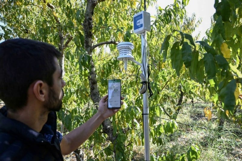 اليونان تغلق وكالة لمساعدة المزارعين اليونان تغلق وكالة لمساعدة المزارعين