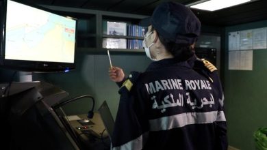 تقرير دولي يكشف ضعف نسبة العاملات في القطاع البحري بالمغرب