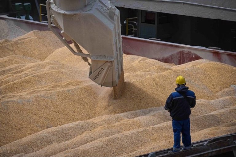 توقعات أمريكية بتراجع الواردات المغربية من القمح بـ200 ألف طن