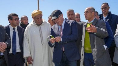خبراء يدعون إلى صياغة تقديرات محصول الحبوب عبر الأقمار الصناعية