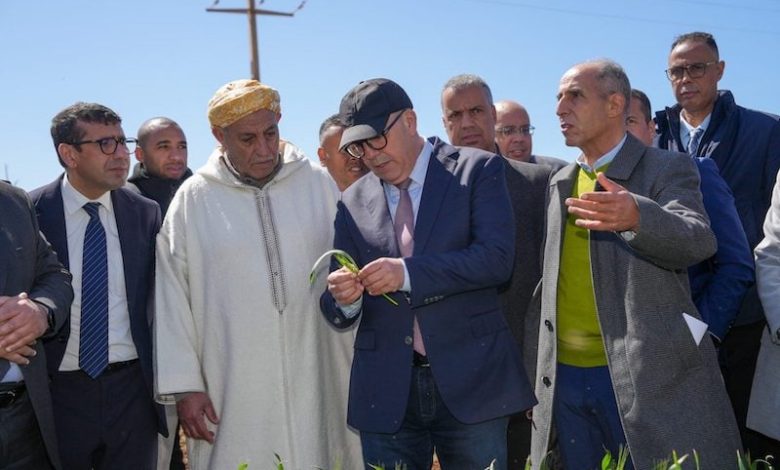 خبراء يدعون إلى صياغة تقديرات محصول الحبوب عبر الأقمار الصناعية خبراء يدعون إلى صياغة تقديرات محصول الحبوب عبر الأقمار الصناعية