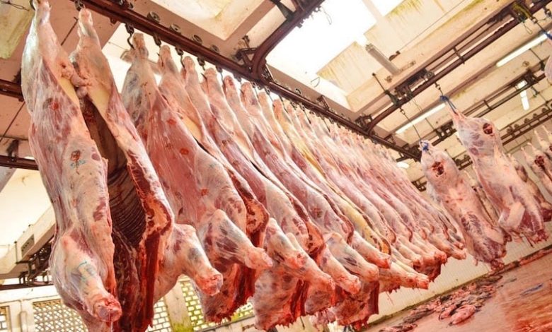 شركات أجنبية تبدي الاهتمام بتصدير اللحوم الحمراء إلى أسواق المغرب شركات أجنبية تبدي الاهتمام بتصدير اللحوم الحمراء إلى أسواق المغرب