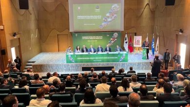 لقجع يشيد بأشغال إعادة تأهيل الملاعب .. و"الباطرونا" تلتزم بتعبئة خاصة