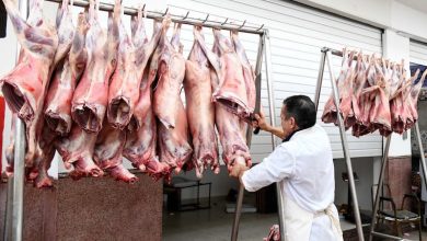 مهنيون: أسعار لحوم الأغنام تنخفض بـ 57% والأبقار بـ 30% في المغرب